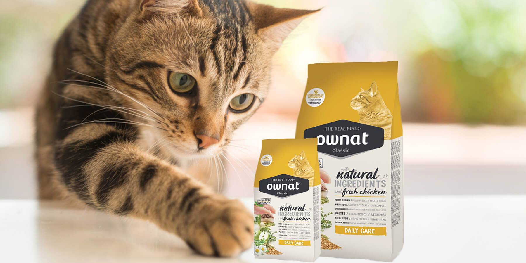Animalerie Toutou-Loulou