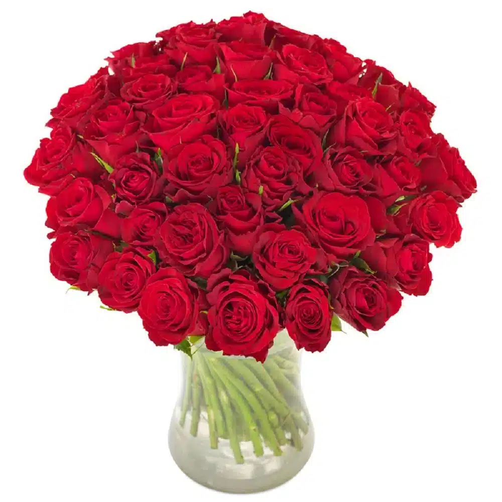 Fleuriste la belle rose